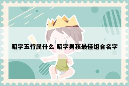昭字五行属什么 昭字男孩最佳组合名字